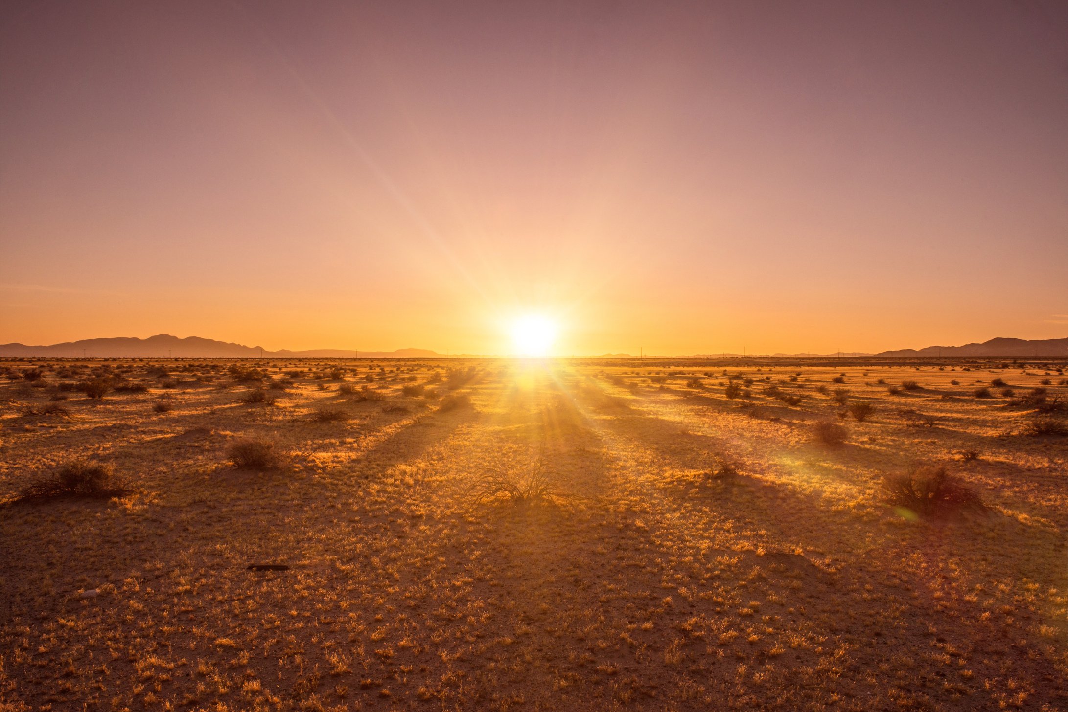 Desert sunset